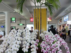 沖縄に来たことを実感出来る胡蝶蘭のお出迎え！