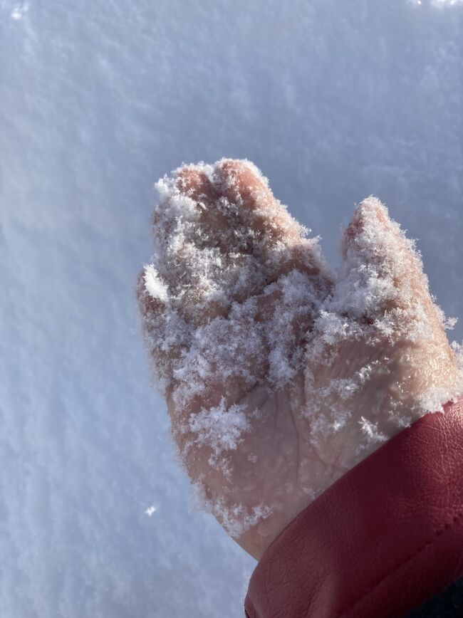 雪☃️だ、嬉しい