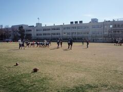 町田シバヒロ　広さ5700平方メートルの芝生広場で、グルメ広場、スポーツ教室、フリーマッケト等イベントが開催されます。本日は高校生がアメフトの試合をしていました