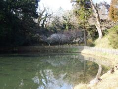 悲しい伝説の残る姥ヶ池。
その一番奥の窪地に、小規模な梅林がある。