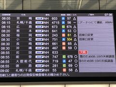 　さて、能登行き搭乗口はと見上げると、真っ赤な文字の欠航！8：55　欠航？いやこれは岩国行き。その下が能登行き。「雪のため、8：10の天候調査」と。そうか、あちらは天気予報通り雪なんだ。日本海側だものね。と頭では理解しました。さっき見た、7時台の庄内行きは、「雪のため欠航」と出てましたっけ。能登は、1日1往復しかないけれど、最悪、欠航？？