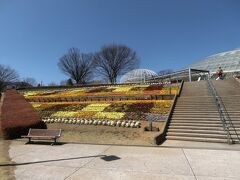 笛吹川フルーツ公園