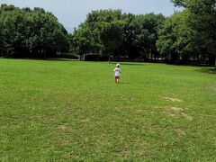 ☻浦安運動公園

舞浜駅のディズニーウェルカムセンターで荷物を預け、最初に向かったのは、浦安運動公園です。
こちらには広い芝生があり奥には、ローラー滑り台や複合遊具があります。我が家のお気に入りの公園です。