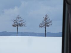メルヘンの丘の樹々も寒そう。