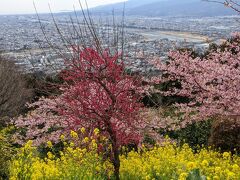 あぐりパーク嵯峨山苑に到着。眺望も抜群ですが、梅の花も加わってさらにきれいでした。
