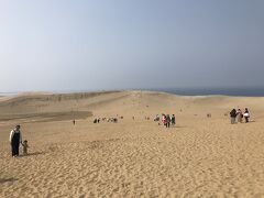 鳥取砂丘。
前方は馬の背。