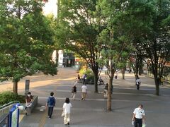 駅を出て、新横浜駅北口東広場に出ました。
レンガの広場に街路樹が規則的に並んでいます。
