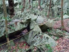 大石林山（だいせきりんざん）は沖縄北部国頭郡のやんばる国立公園内にある奇岩石が林立する観光施設です。沖縄建立の神「アマミキヨ」が最初に創った聖地とされており、パワースポットとして知られています。4つの散策コースが設定されており、奇岩・奇石コースを歩きました。林の中に点在する奇岩を見て歩くという感じなので、突き抜けた風景には出会えませんでした。
併設された「沖縄石の文化博物館」は無料で見学することが出来ます。
