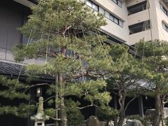まず、松乃碧の外観。これは天皇お手植えの松なんだそうだ。昭和22年御駐泊という表現が珍しい。