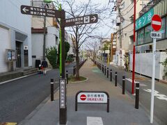 九品仏川緑道に出た。
