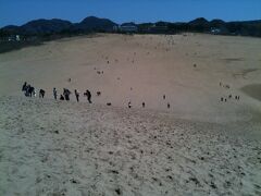砂丘の向こうに海があるのですが、砂に足を取られながらひとやま越えるのでなかなかの運動になりました。
