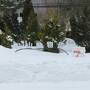 弾丸低気圧の間を潜り抜けた北海道一人旅　札幌編