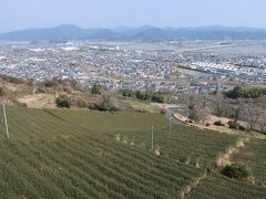 だいぶ高台に上ってきました
斜面にはさすが牧ノ原台地 お茶畑が広がっています
元々は麓の村の入会地だったそうですが､明治期に徳川家臣や大井川の川越忍足に払い下げられ茶園開拓が行われたそう