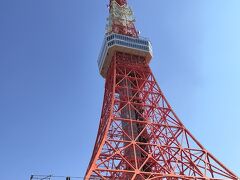 久しぶりに東京タワーに来てみました。