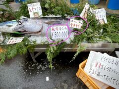 【横浜のアメ横：松原商店街】

横浜西区にある「横浜のアメ横：洪福寺松原商店街」に突撃...

（巷では有名な魚幸水産の店の前）おお、一本50万円のマグロが無造作に...