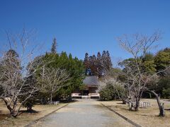 人吉城跡公園を散策
ここは山城だったんですね
