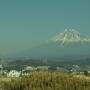 三重県の梅の名所めぐり