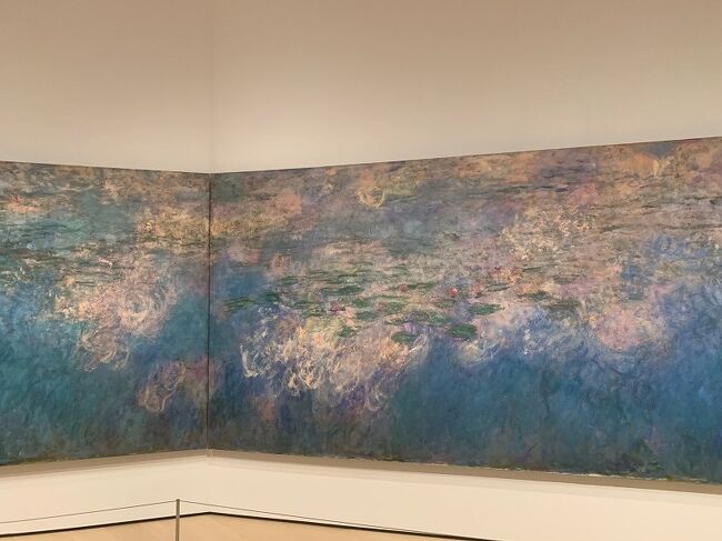 全体を見ると睡蓮が世界地図に見えてきた。