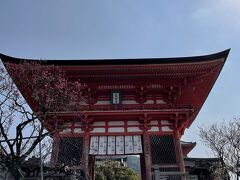 清水寺
お天気になりました♪
梅も満開です
この階段は、かなり急なので気をつけて登ります。