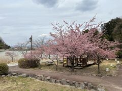 城池親水公園