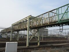 三鷹電車庫跨線橋
JR三鷹駅から400mほど、JRの線路をまたぐようにして架かっている、長さ93mほどの跨線橋です。1929年に建設され、太宰治も好んで訪れていた場所だったようですが、古くなり耐震基準を満たしていないということで、取り壊しされることになりました。橋には金網が張り巡らされ線路に落ちる心配はありませんが、階段や歩くところには小石が混じり、鉄骨は腐敗が進んでいて橋は老朽化していました。太宰ゆかりの地として文化的価値がある橋なので、何らかの形で保存してほしいと思います。
