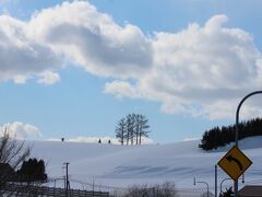 そして、日が変わり、3月9日になります。かねてから行きたかった富良野ワインハウスまでランチドライブをしました。実は前週、都合のついた日に出かけたのですが、途中から猛吹雪になって道路は一瞬ホワイアウト状態にもなり、途中で断念し帰宅した経緯がありました。でも、今回は天気に恵まれました。途中、国道からちょっと入った場所に雰囲気のいい景色があります。