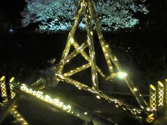 みなみの桜の夜桜と竹筒