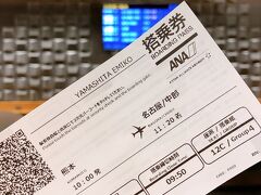 あっという間にフライトの時間となりました。ホントはお昼の便で帰る予定だったのですが、欠航になってしまったため早朝の便で名古屋に戻りました。
