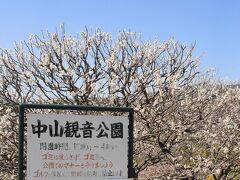 中山観音公園には、たくさんの梅の花が咲きほこります。