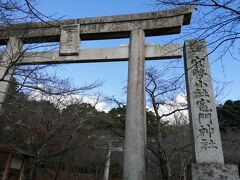 やっとやっと着いた、宝満山の麓にある「宝満宮　竈門神社」。
帰りのバスの時間を確認して、重い足で階段を上がります。

そんな疲れ切った私を慰めるかのように見つめる、参道の鹿がカワイイ。