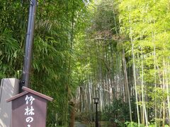 京都の竹林に行きたいけど
現実的ではないからここで。

規模は小さいけど風情は十分。