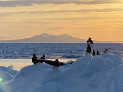 ゴジラ岩観光　根室海峡クルーズ