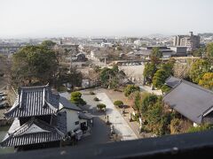 中津の街と中津城公園が奥に広がっています。
良い景色ですね。
