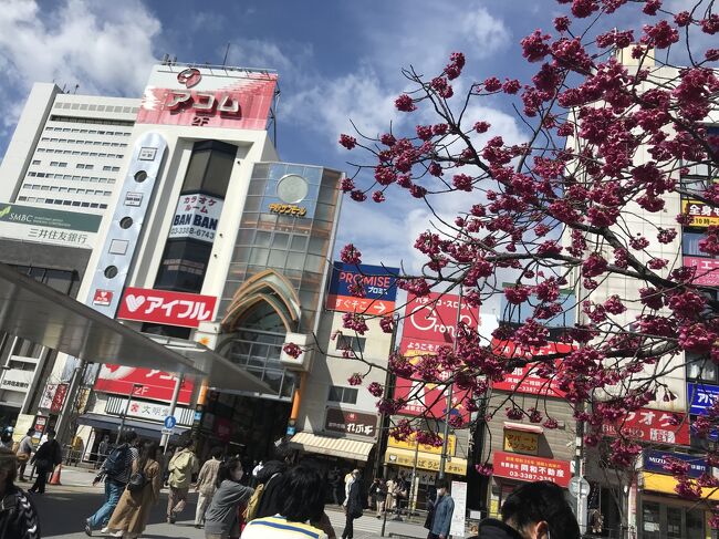 天気いい今日は西荻窪から中央線 総武線街歩きしましょ編 東京の旅行記 ブログ By Swalさん フォートラベル