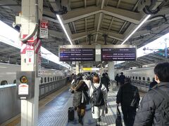 …っと寝ている間に、定刻8:39に東京駅に着きました。