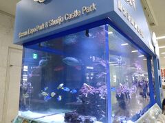 はーやっと到着～！！
この水槽懐かしい。

さて。
次女寝た直後に、スマホが使えるようになったので、速攻ラインして夫に迎えに来てもらう。
抱っこしたら起きて、到着ロビーで無事着替えも終了。

長女と夫に、次女の暴れ声聞こえなかったの？と確認したら、周りも赤ちゃん泣いていたらしく、わからなかったと…
飛行音もしているし、意外と周りの人しか聞こえてないのかも？
それでも周りの人ごめんなさいでした💦

眠い時間じゃなければ大暴れしなかったと思うけど(寝ようよ)、シートベルト着用サインや座っていなきゃいけないこともまだあんまり理解できないし、2歳児には飛行機はハードル高めねって出来事でした。
でも席を確保しておいたのは正解だったな～！