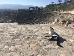 アフロディスィアス遺跡