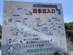 そして、12時すぎ、高千穂峡到着。
高千穂峡の遊歩道は１ｋｍほど、30分程度らしいのですが、着いた先でマイクロバス2台に分乗してバスまで戻るので、そのマイクロバスの時間を伝えたいから、ということで41人全員が添乗員さんと一緒にぞろぞろ歩くことに。