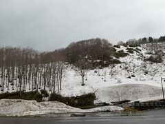 ってことで、少し酸ヶ湯温泉を散歩。