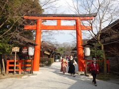 　北大路からバスに乗って下鴨神社前で下車。