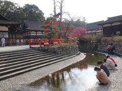 　「京都人の密かな愉しみ Blue 修業中　祝う春」では、３月３日の「上巳の節句」にこの場所で行われる「流し雛」の模様が紹介されました。