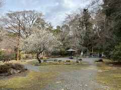 頼家の墓のすぐ横、源氏公園。鹿山のふもとにあります。