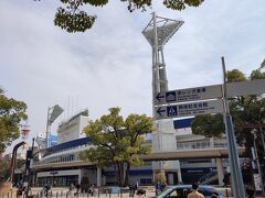 横浜スタジアムですね。大きくなりました。