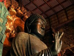 なんだかんだ初めての東大寺。
(修学旅行は関西だったのに、奈良は行けなかったので)
迫力満点の東大寺大仏。真正面から写真を撮っている方が多かったですが、
個人的には斜めからのほうが趣があって好きでした。
