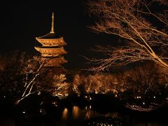 日も暮れてきて、京都に戻ってきました。
初日の締めくくりは、東寺のライトアップ。
桜の木×五重塔がライトに照らされ、幻想的な表情をしていました。
水面に映る光景も見事でした。