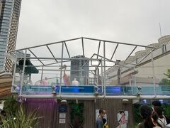 一休みしたところで、再び水族館へ。