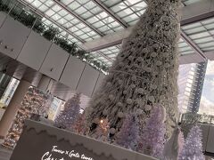 なんとか名駅へ帰ってきました。今や名駅のシンボルにもなっているクリスマスツリー。豪華です。