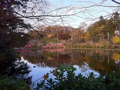 ホテルから20分くらい歩いて茂原公園へ行ってみました。朝のひんやりした空気が心地よく感じました。ジョギングをしている人もずいぶん見かけました。