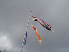 加須駅前の鯉のぼり　加須はジャンボ鯉のぼりが有名です。