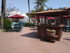 お昼はプール横のチップトップにしました。